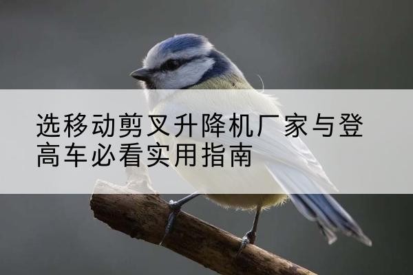 新都电动升降机厂家-选移动剪叉升降机厂家与登高车必看实用指南