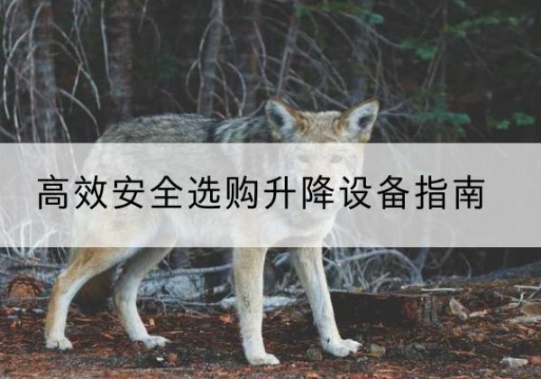 新都升降货梯厂家推荐-*安全选购升降设备指南
