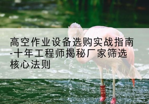 新都剪叉式升降机厂家-高空作业设备选购实战指南-十年工程师揭秘厂家筛选核心法则